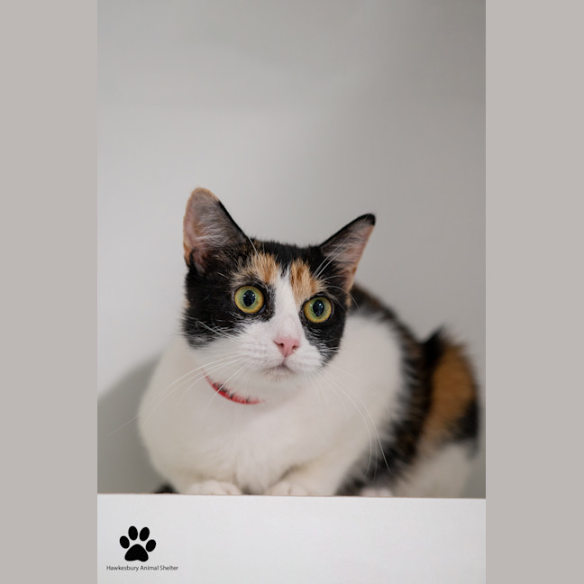 Photo of Sandy