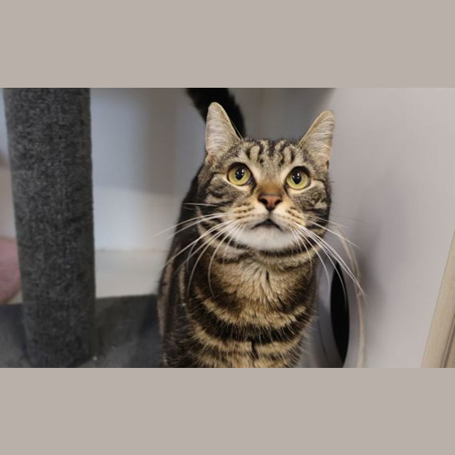 Photo of Bootsie