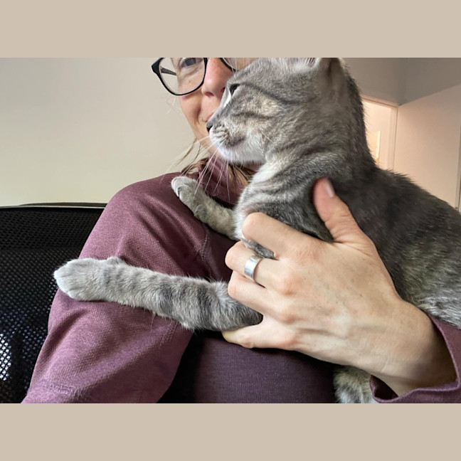 Photo of Aurora   Located In Bentleigh East