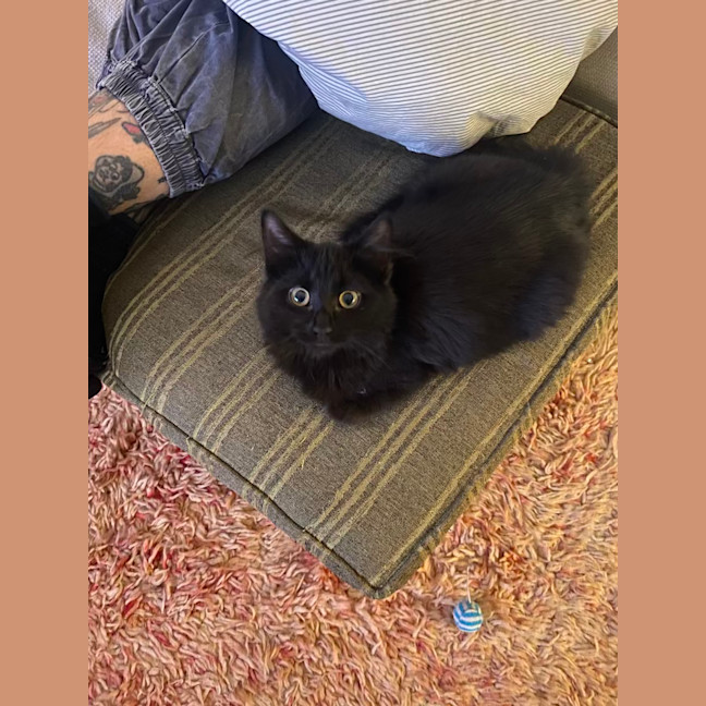 Photo of Salem