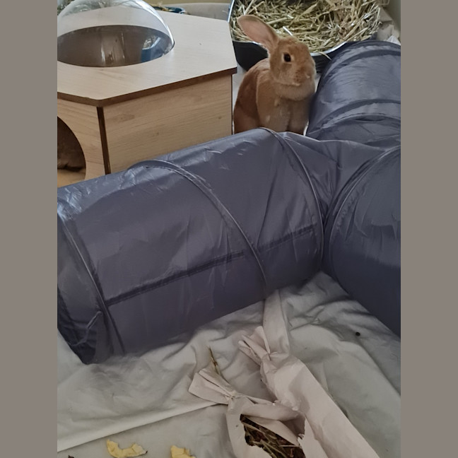 Photo of Yoghurt And Yum Cha