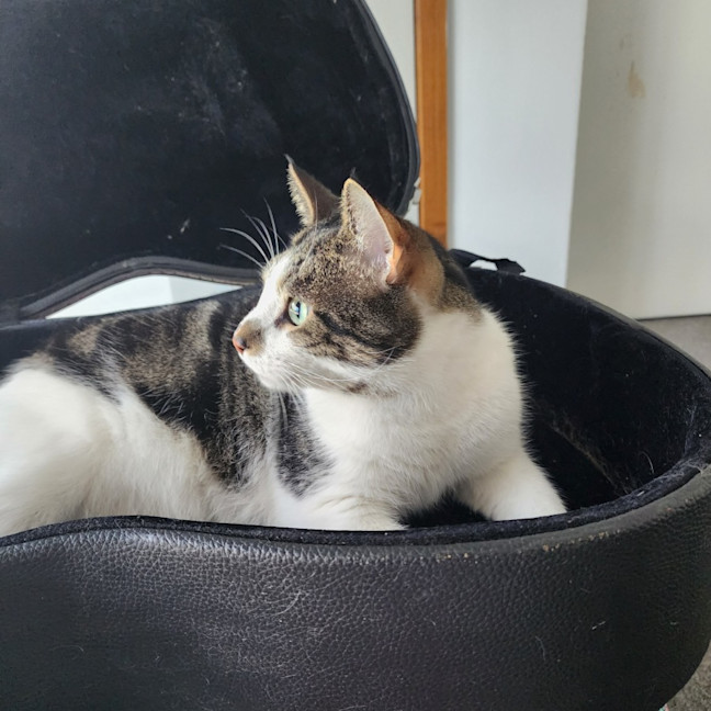 Photo of Shooshko (Shi Shi)