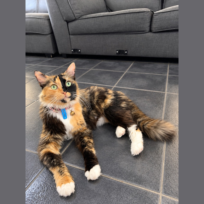 Photo of Isla