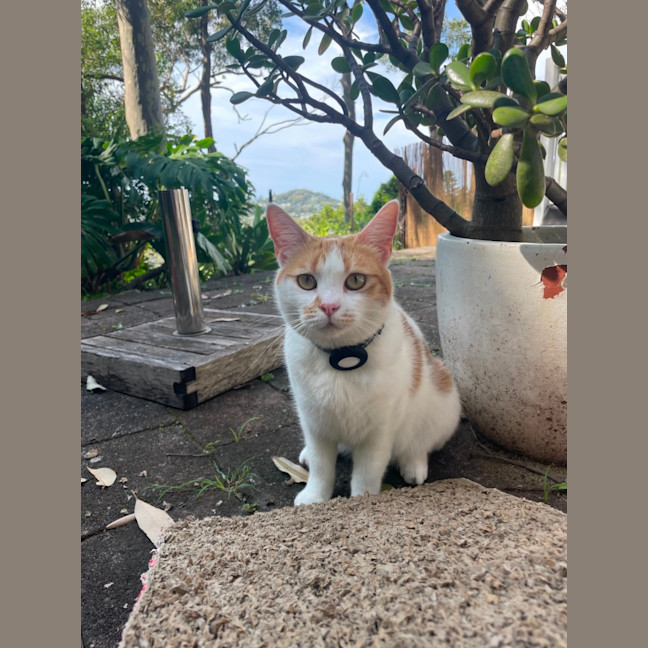 Photo of Rosie