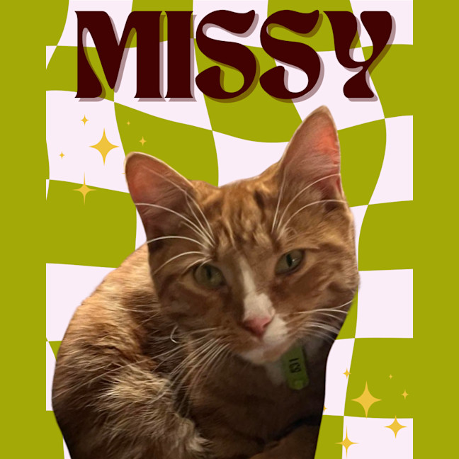 Photo of ⭐ Missy ⭐