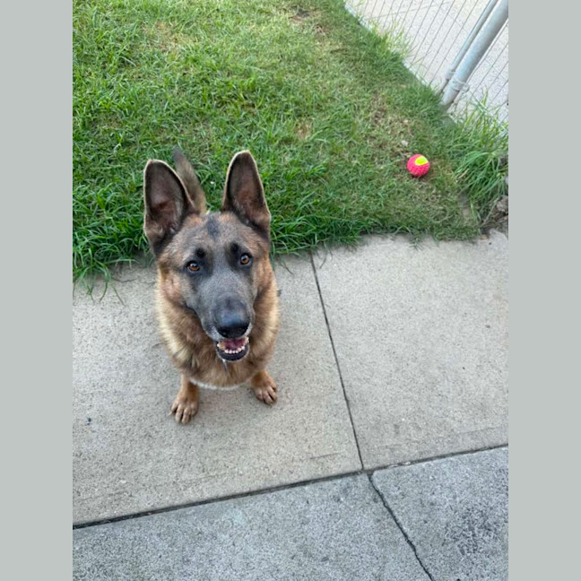 Photo of Blue