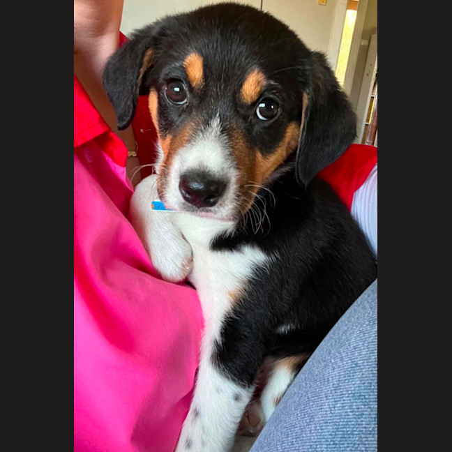 Photo of Ted 