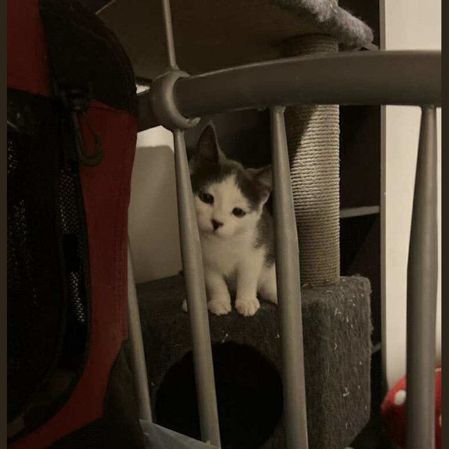 Photo of Hazel