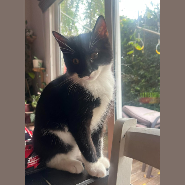 Photo of Phoebe