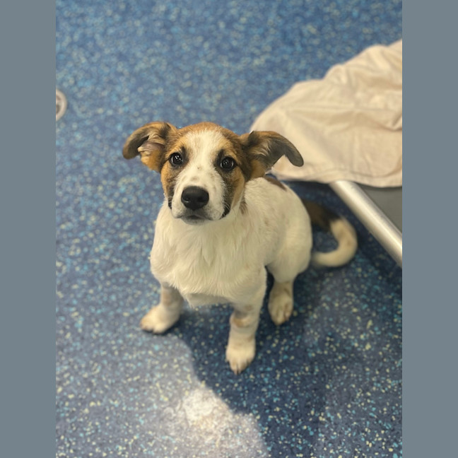 Photo of Sprout 