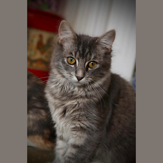 Photo of Lucy 