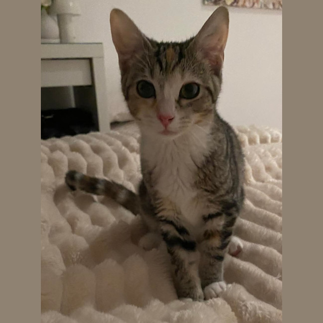 Photo of Tinkabell 