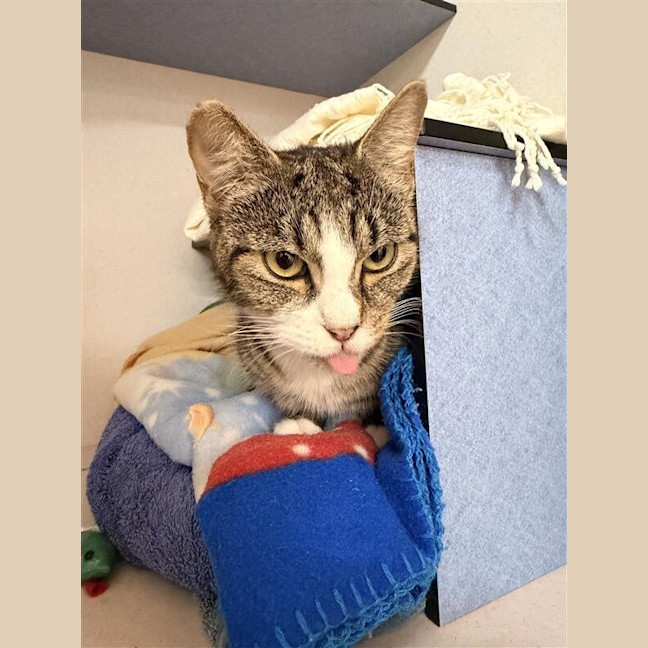 Photo of Phoebe