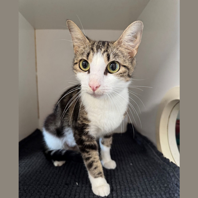 Photo of Sara Bellum