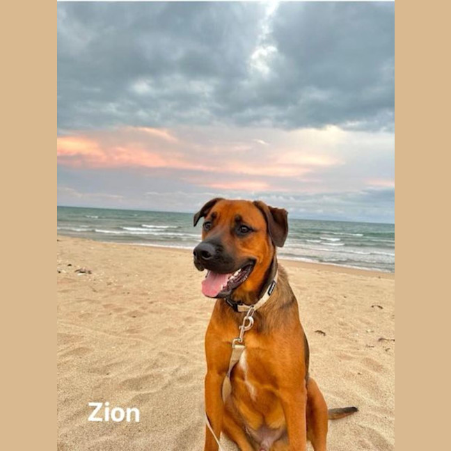Photo of Zion