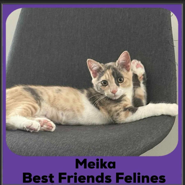 Photo of Meika 