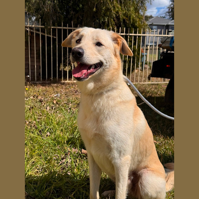 Photo of Atlas