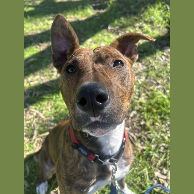 Photo of Zara
