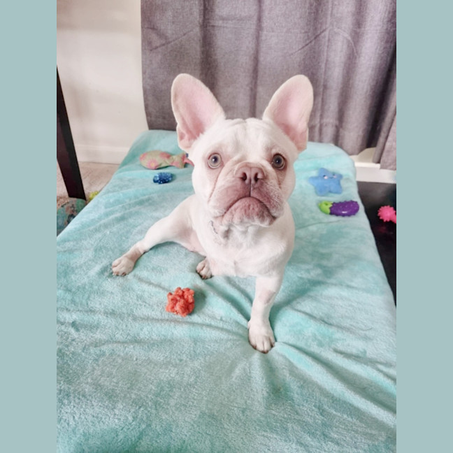 Photo of 🧚‍♀️pixie🧚‍♀️