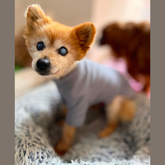 Photo of Ju Ju