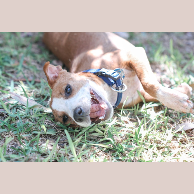 Photo of Gertie