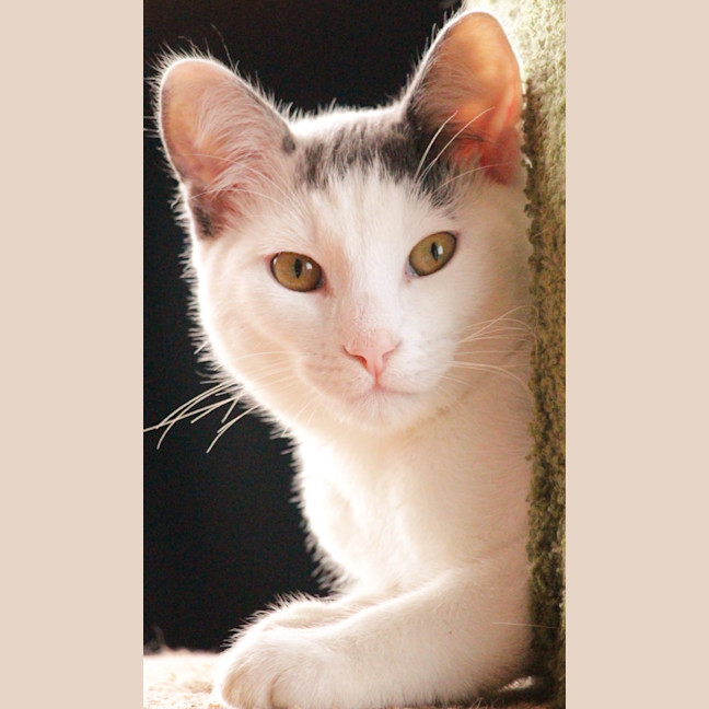 Photo of Quincy 
