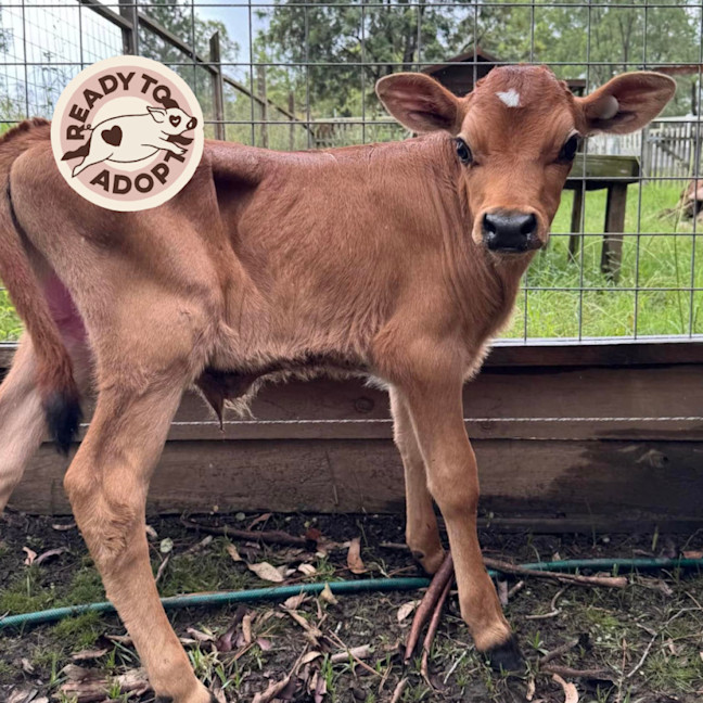 Photo of Darby & Elliot