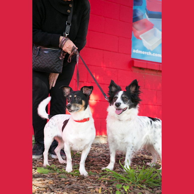 Photo of Pebbles And Piper