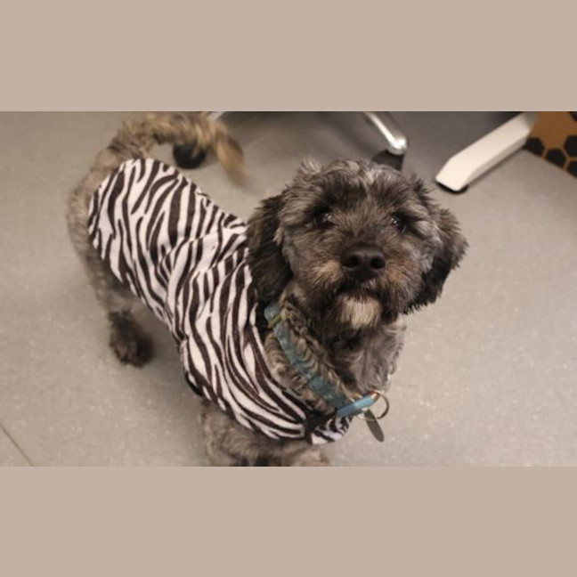 Photo of Murphy