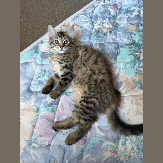 Photo of Jive