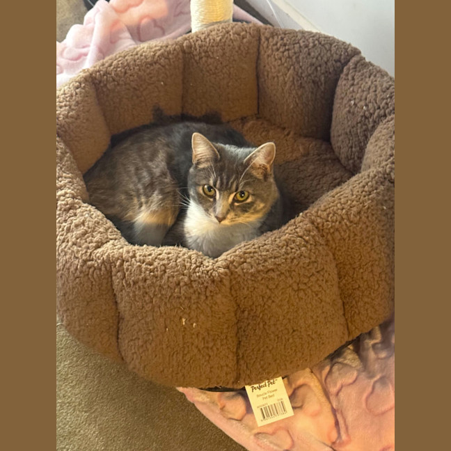 Photo of Gabby