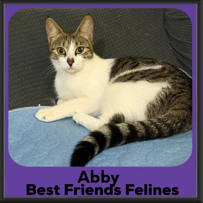Photo of Abby