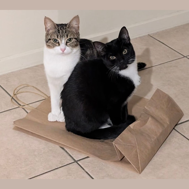 Photo of Honey & Rory 🥰