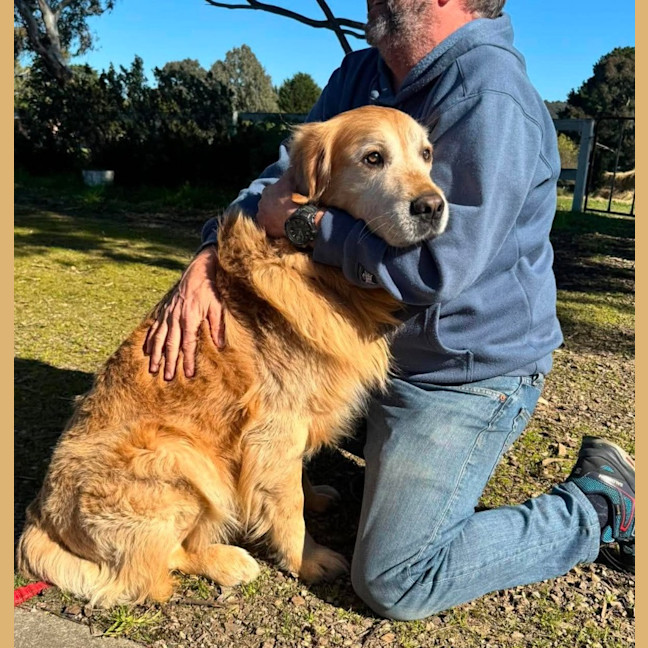 Photo of Sammy / Rosie