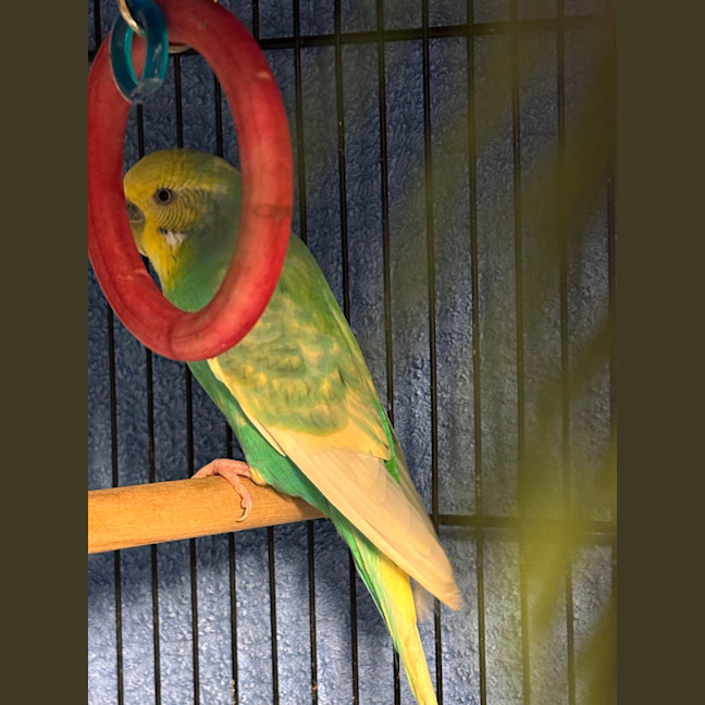 Photo of Kikki 