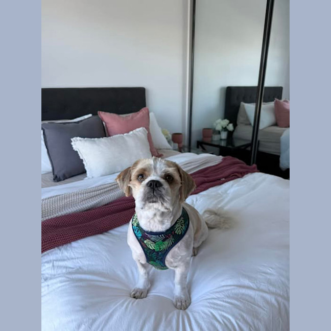 Photo of Hunter