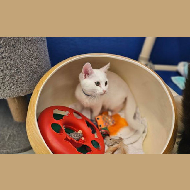Photo of Yuki