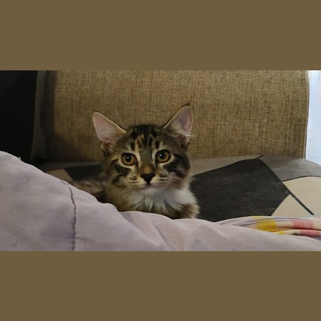 Photo of Clymbeth