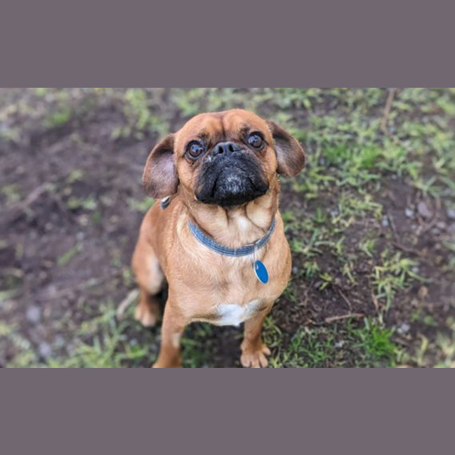 Photo of Mason