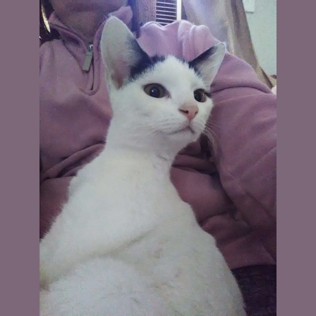 Photo of Lucky