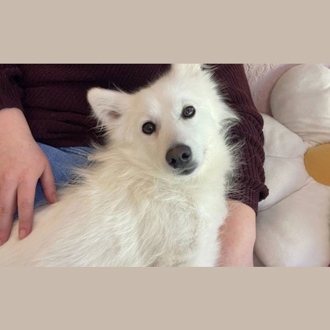 Photo of Honey