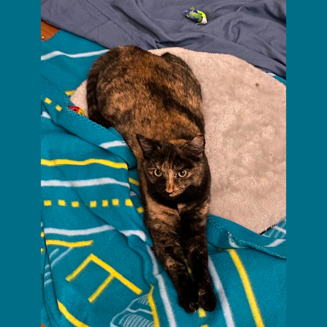 Photo of Dara   In Foster Care In Brunswick