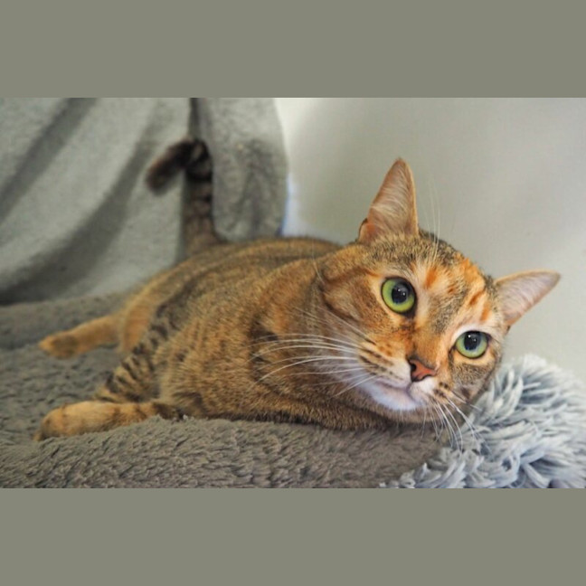 Photo of Barbie
