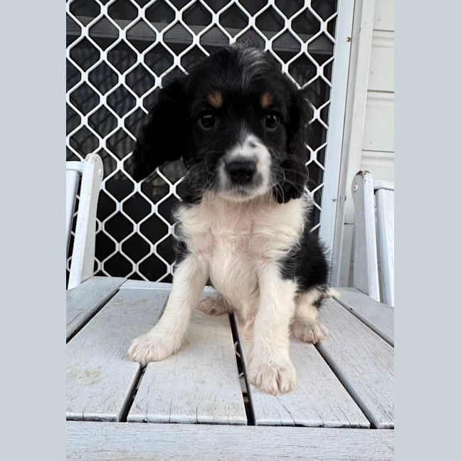 Photo of Zak