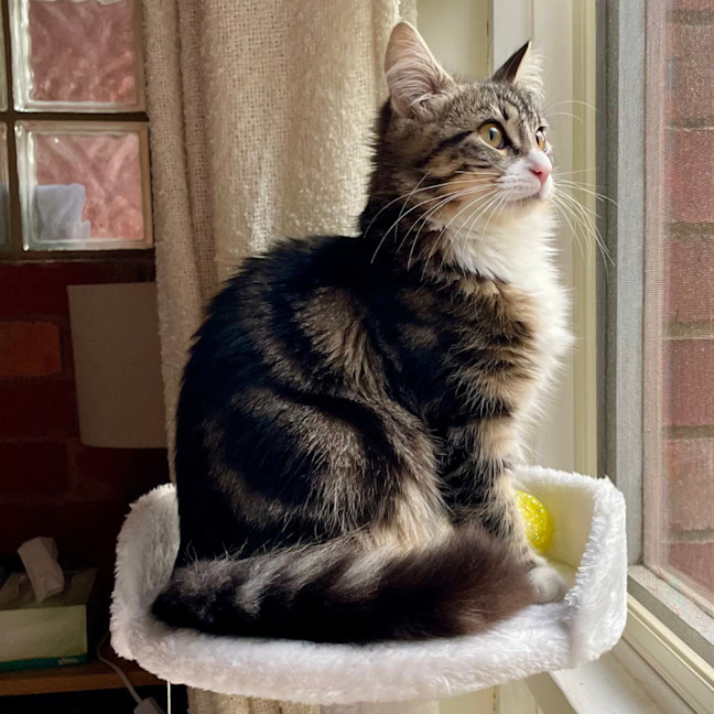 Photo of Winnie