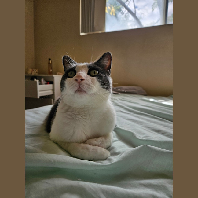 Photo of Ceecee