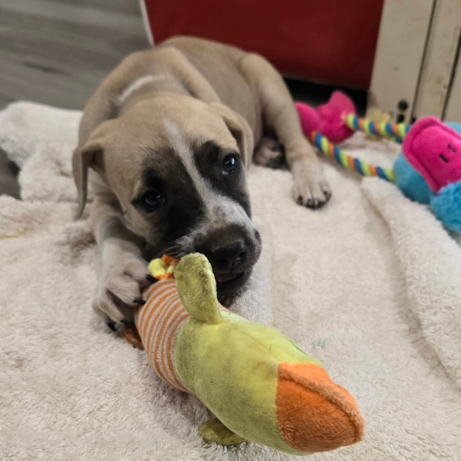 Photo of Epponnee Rae