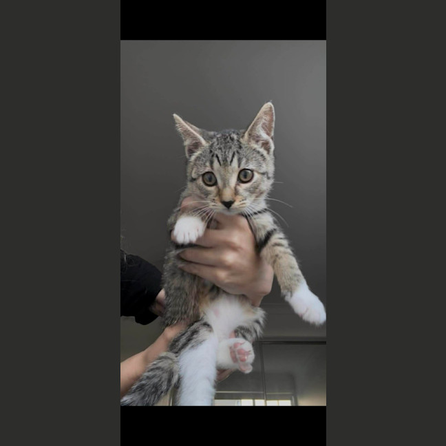 Photo of Brianna