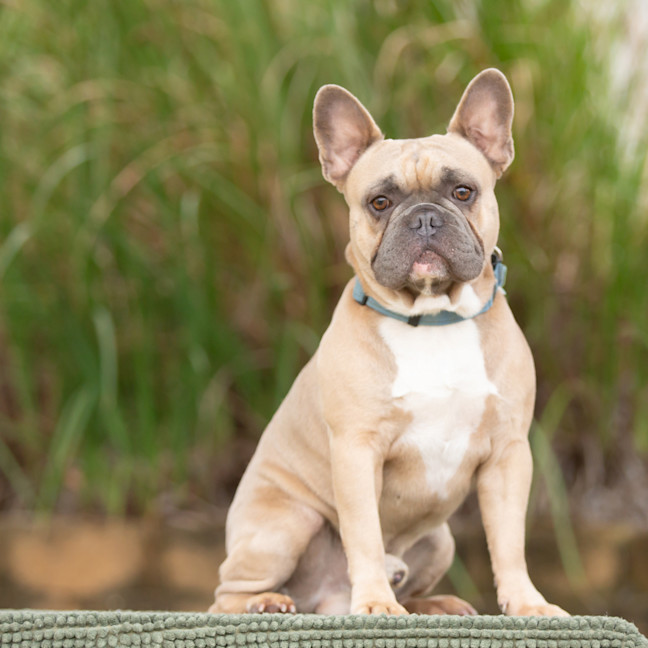 Photo of Hugo