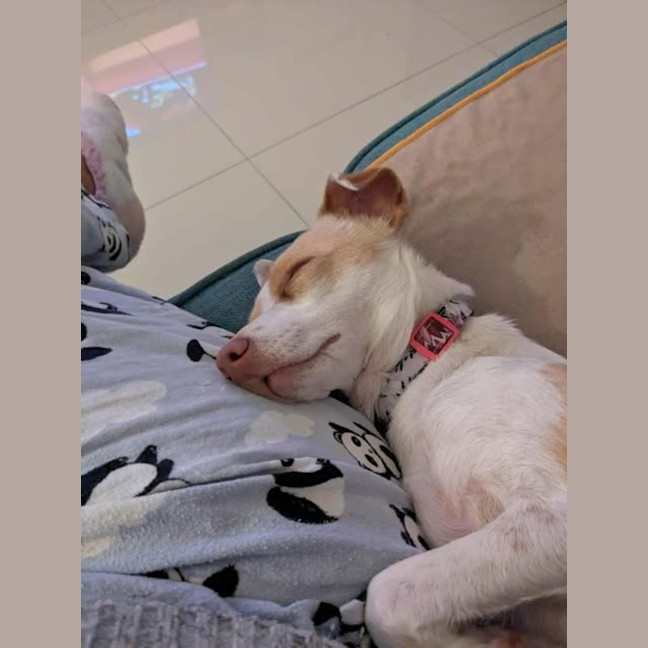 Photo of Bella